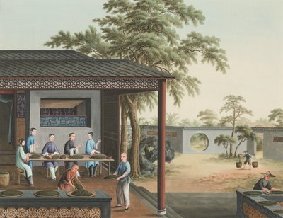 Production de thé, vers 1820 - School Chinese