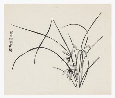 Série des Dix Bambous - School Chinese