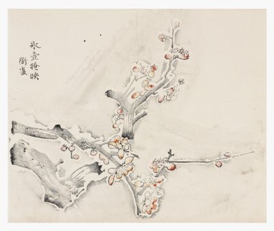Série des Dix Bambous - School Chinese