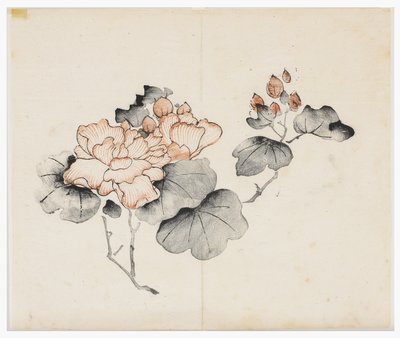 Série des Dix Bambous - School Chinese