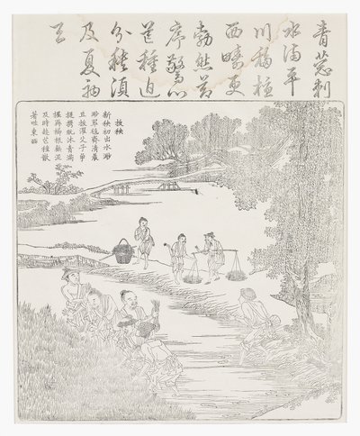 Transplantation des plants de riz - School Chinese