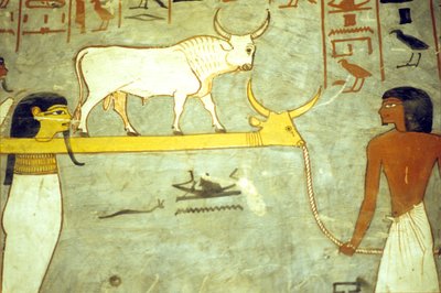 Égypte ancienne, Peinture, Tombe de Ramsès I, Dieux du monde souterrain attachés à Hathor, remorquant la barque solaire - School Egyptian