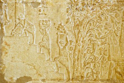 Égypte ancienne, sculpture murale, tombe de Petosiris, Tuna el Gebel, 300 av. J.-C., transport de raisins au pressoir - School Egyptian