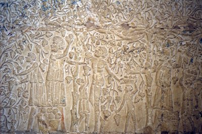 Égypte ancienne, sculpture/peinture murale, tombe de Petosiris, Tuna el Gebel, 300 av. J.-C., cueillette de raisins pour la vinification - School Egyptian