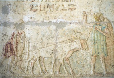 Égypte ancienne, Sculpture/peinture murale, Tombe de Petosiris, Tuna el-Gebel, 300 av. J.-C., Labour et semis des cultures - School Egyptian