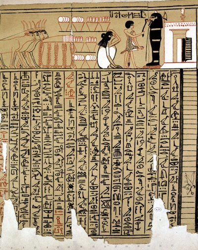 Hiéroglyphes égyptiens - School Egyptian