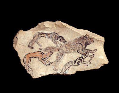 Antiquité égyptienne : ostracon (ou ostrakon) (pluriel : ostraca ou ostraka) en calcaire représentant trois chiens chassant une hyène. 1300-1070 av. J.-C. Deir el-Médineh. Paris, Musée du Louvre - School Egyptian