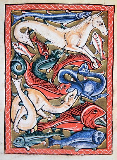 Poissons et animaux marins, fac-similé d