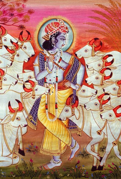 Seigneur Krishna et vaches, peinture miniature - School Indian