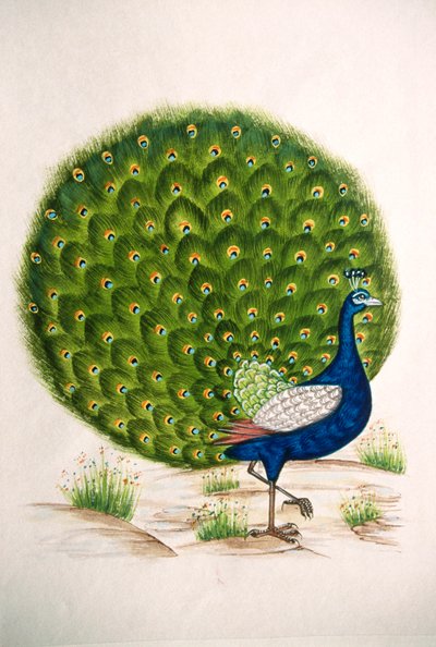 Peinture miniature sur soie, Paon - School Indian