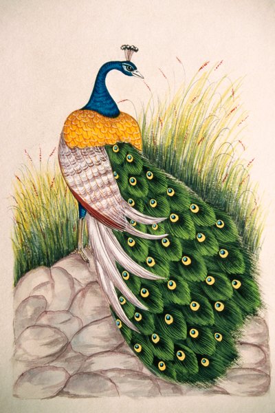 Peinture Miniature sur Soie Paon - School Indian