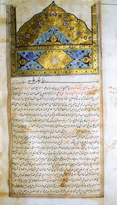 Page du Canon de la Médecine (al-Qānūn fī aṭ-Ṭibb) par Avicenne - School Iranian
