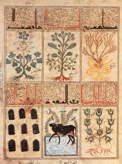 Illustration du 