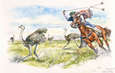 Argentine - chasseurs de nandous dans les Pampas - School Italian