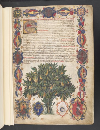 Bordure complète avec décoration héraldique et initiale historiée 