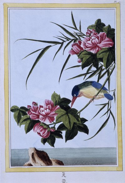 Martin-pêcheur - Estampe japonaise - Japanese School