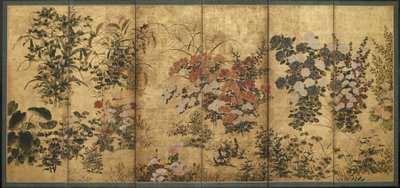 Fleurs d