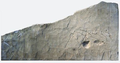Inscription funéraire hébraïque de Beth Loya, contreforts de Judée, Israël, VIe siècle av. J.-C. (pierre) - School Levantine
