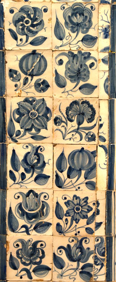 Panneau représentant diverses espèces de fleurs, Tarouca, Portugal - School Portuguese