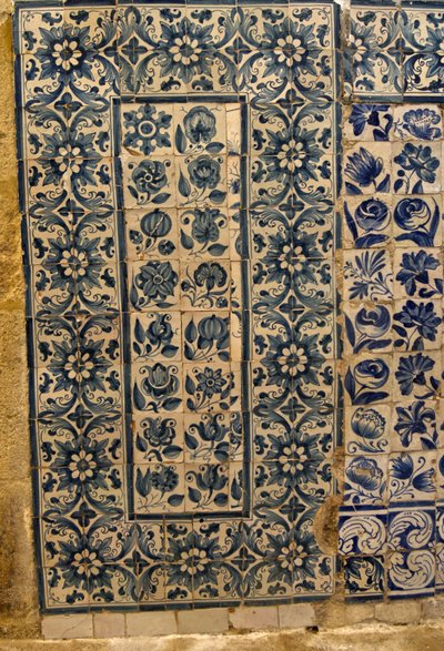 Panneau représentant diverses espèces de fleurs, Tarouca, Portugal - School Portuguese