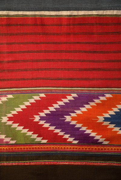 Détail de tissu Tai Lu - School Thai