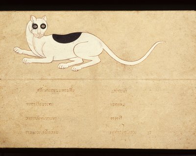 Feuille d