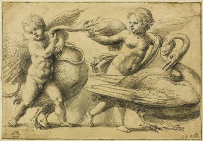 Putti jouant avec des cygnes - School of Raphael