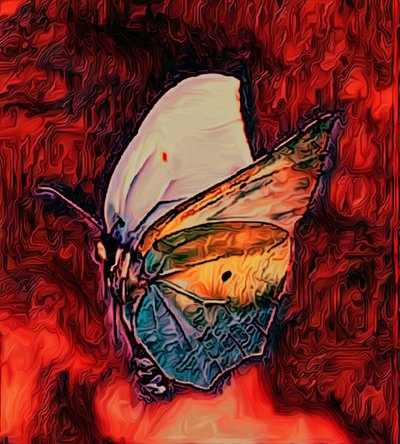Papillon, 2021 - Scott J. Davis