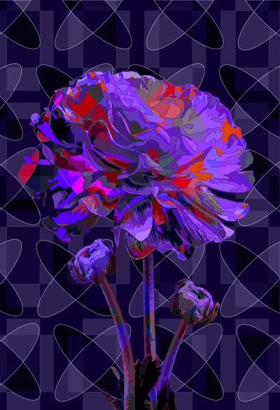 Œillet, 2019 - Scott J. Davis