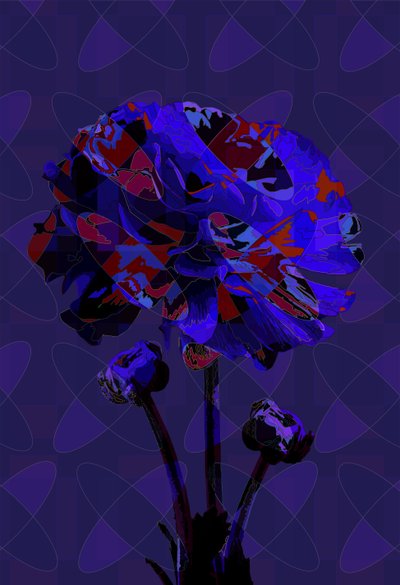 Œillet, 2019 - Scott J. Davis