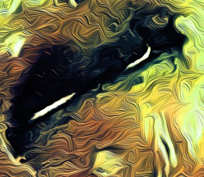 Yeux, 2021 - Scott J. Davis