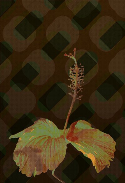 Hibiscus, 2019 - Scott J. Davis