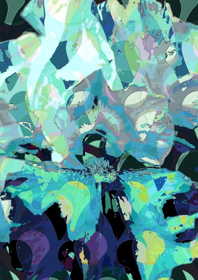 Iris - Scott J. Davis