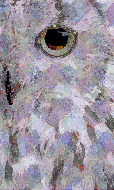 Chouette3 - Scott J. Davis