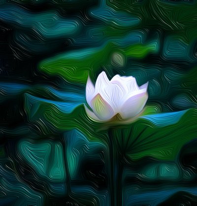 Lys blanc - Scott J. Davis