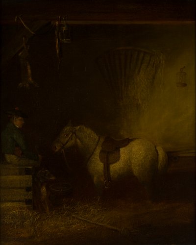 Poney dans un intérieur d