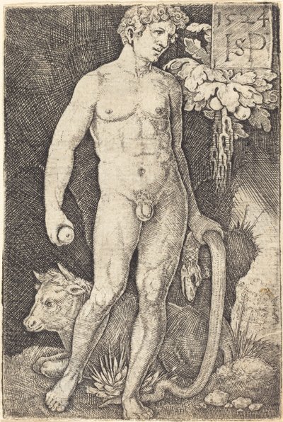 Adam debout - Sebald Beham