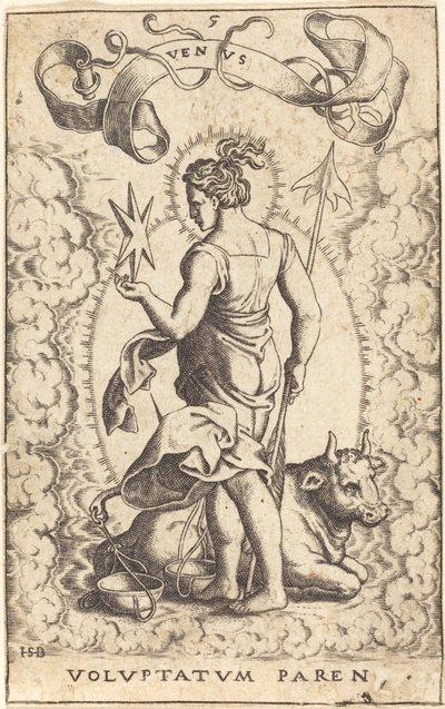 Vénus - Sebald Beham