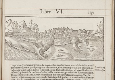 Cosmographia, Fol 1137, 1544 - Sebastian Munster