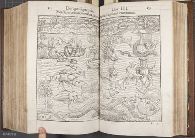 Cosmographia, Fol 852-853, 1544 - Sebastian Munster