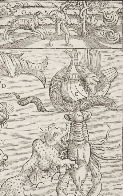 Cosmographia, Fol 853, 1544 - Sebastian Munster