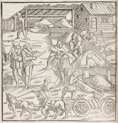Cosmographia, (détail) - Sebastian Munster