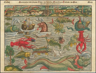 Merveilles marines et animaux étranges, tels qu