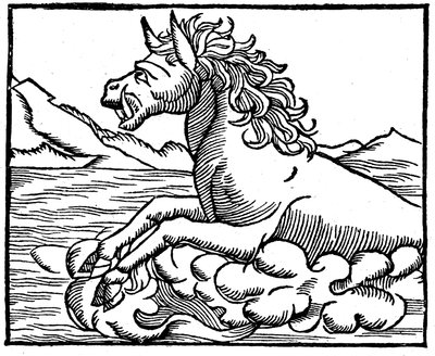 Monstre marin - Sebastian Munster