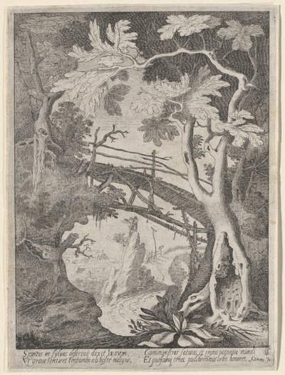 Un paysage rocheux avec la tentation du Christ - Sebastian Vrancx