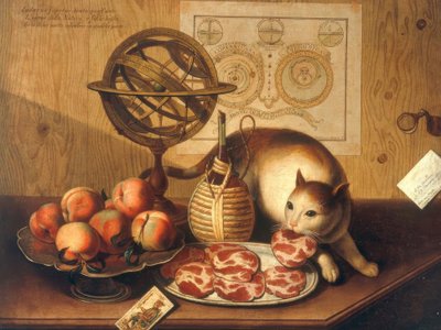 Nature morte avec chat - Sebastiano Lazzari