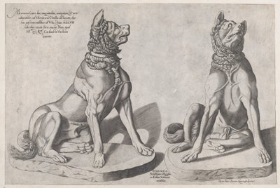 Speculum Romanae Magnificentiae : Deux chiens - Sebastiano di Re