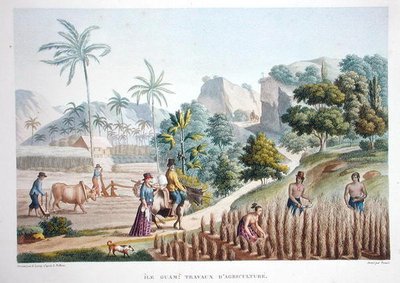 Travailleurs agricoles, Guam, Philippines, de 