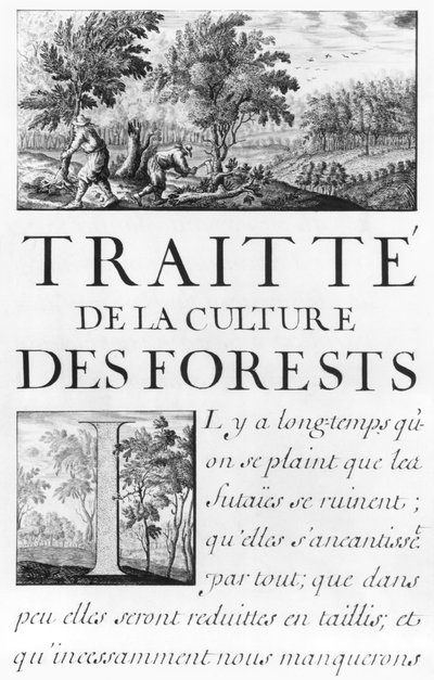 Ms 260 tome IV Frontispice de 
