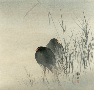 Deux poules d